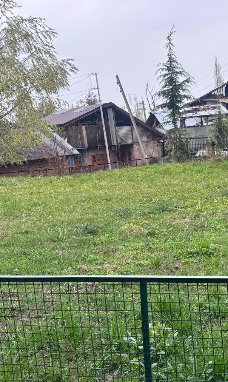 مولانا سید عمر شاہ بخاری